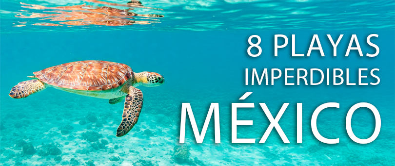 Las 5 mejores playas de México para tus próximas vacaciones